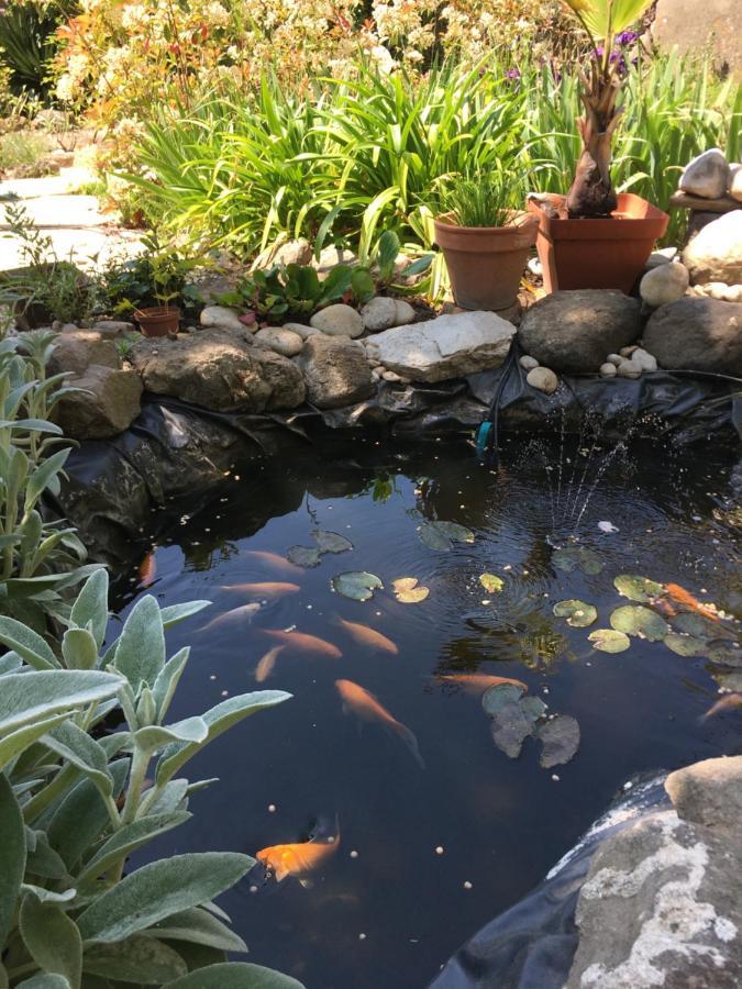 Willa Garden Annexe Villeneuve-Loubet Zewnętrze zdjęcie